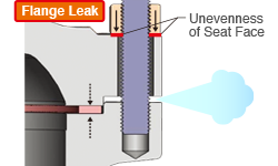 Flange Leak