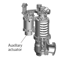 SRV (Main steam relief valve)
