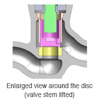 Enlarged view around the disc