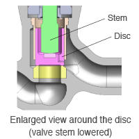 Enlarged view around the disc